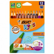 Карандаши цветные утолщенные BIC "Kids Evolution Triangle", 12 цветов, трехгранные, грифель 4 мм, 8297356