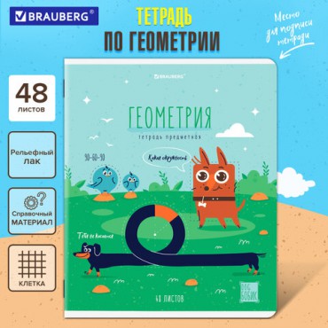 Тетрадь предметная DOG БОБИК 48 л., TWIN-лак, ГЕОМЕТРИЯ, клетка, подсказ, BRAUBERG, 404787